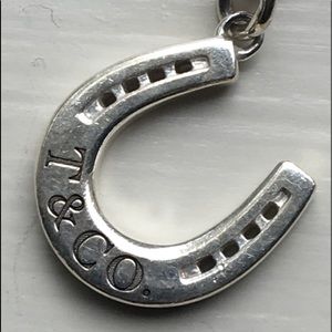 Sterling Silver Tiffany Horseshoe charm